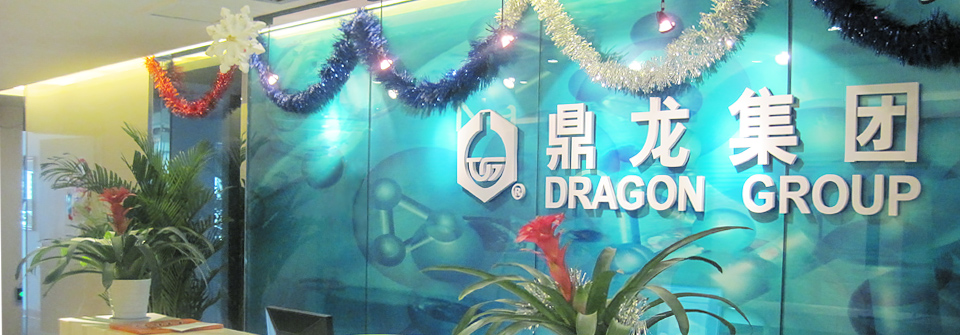 Dragon Chemical Europe GmbH